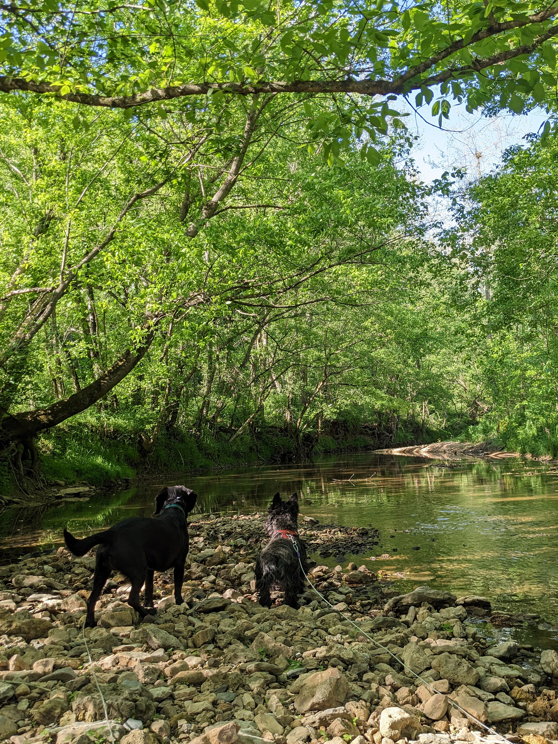 Caney Hollow Creek Retreat