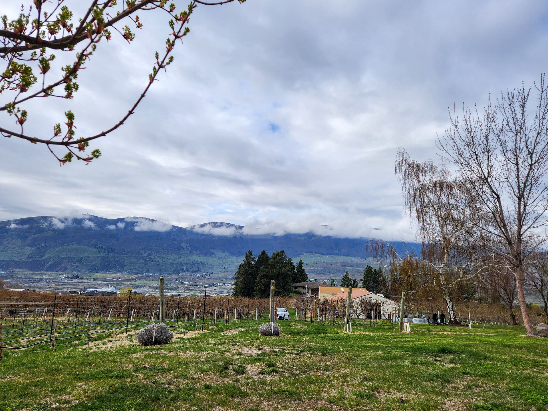Site view