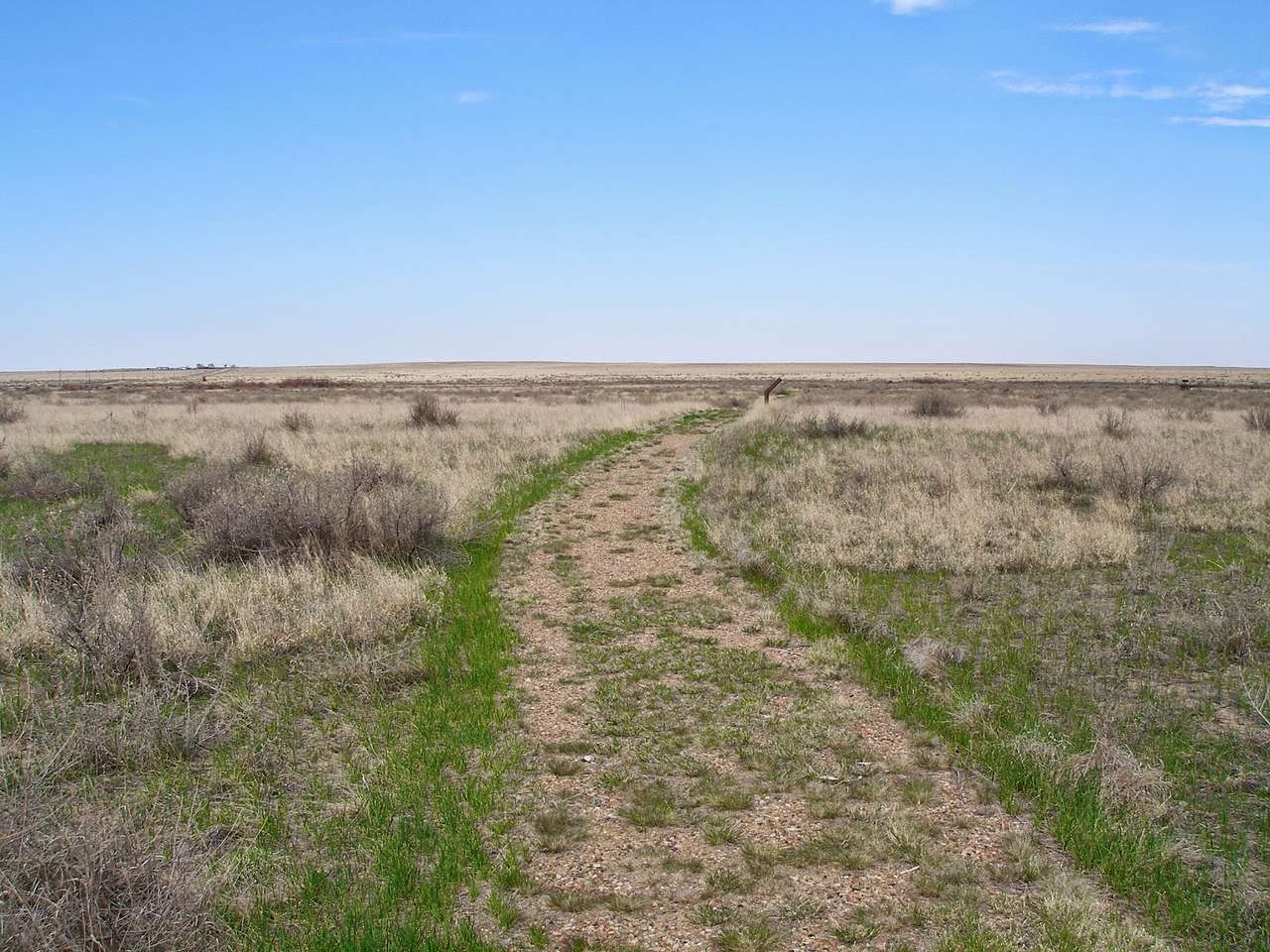 Prairie Oasis