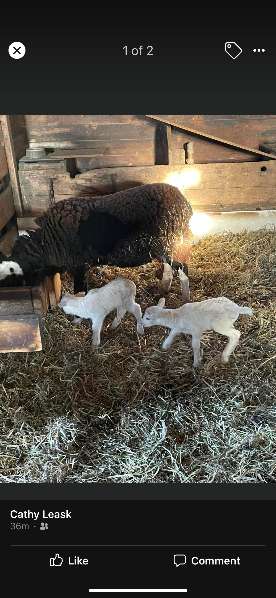 Red Rock Farm