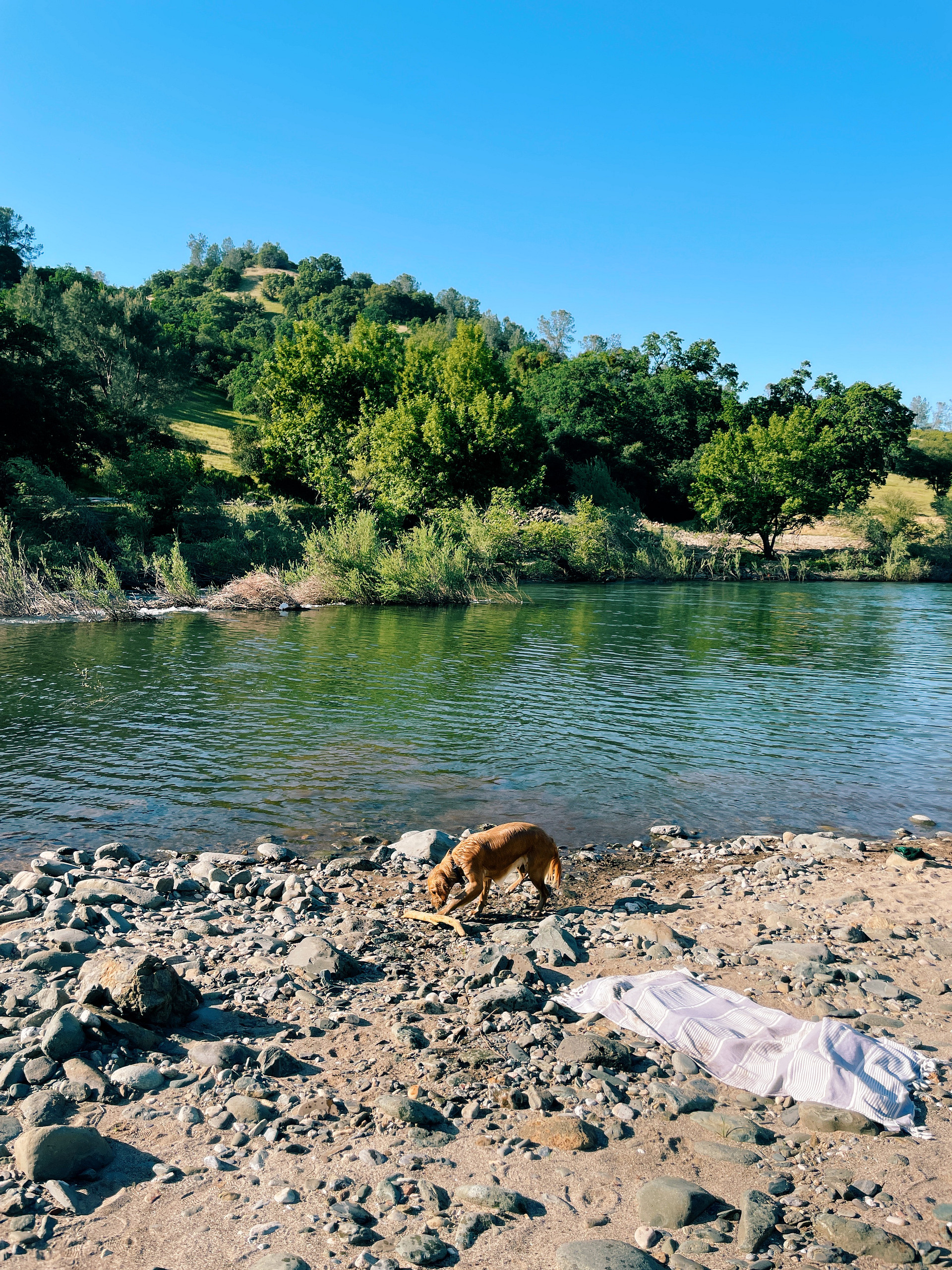 Cosumnes River Ranch