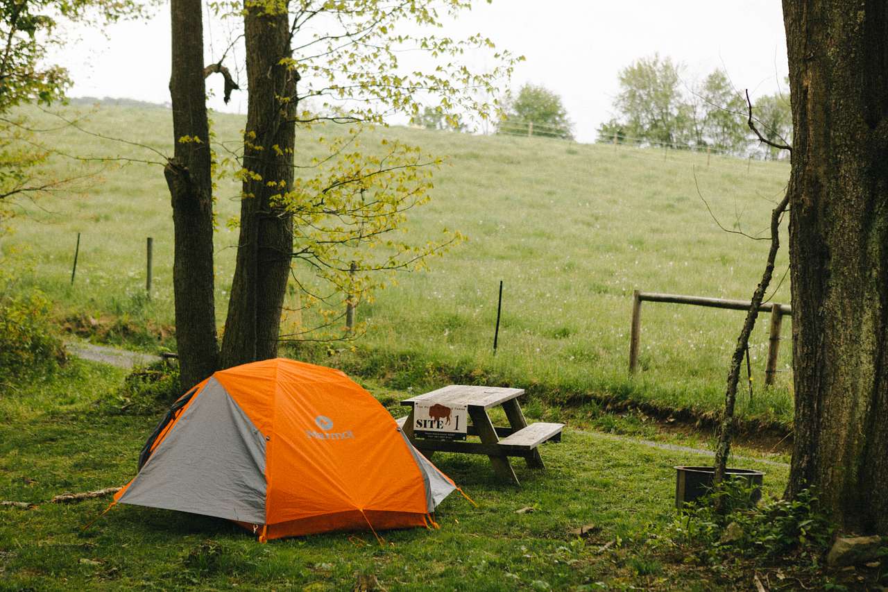 campsite 1 