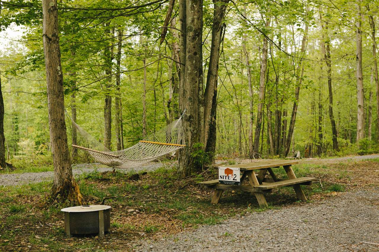 campsite 2 