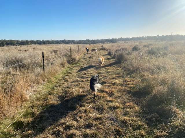 Kangaroo Creek Camp, Dubbo