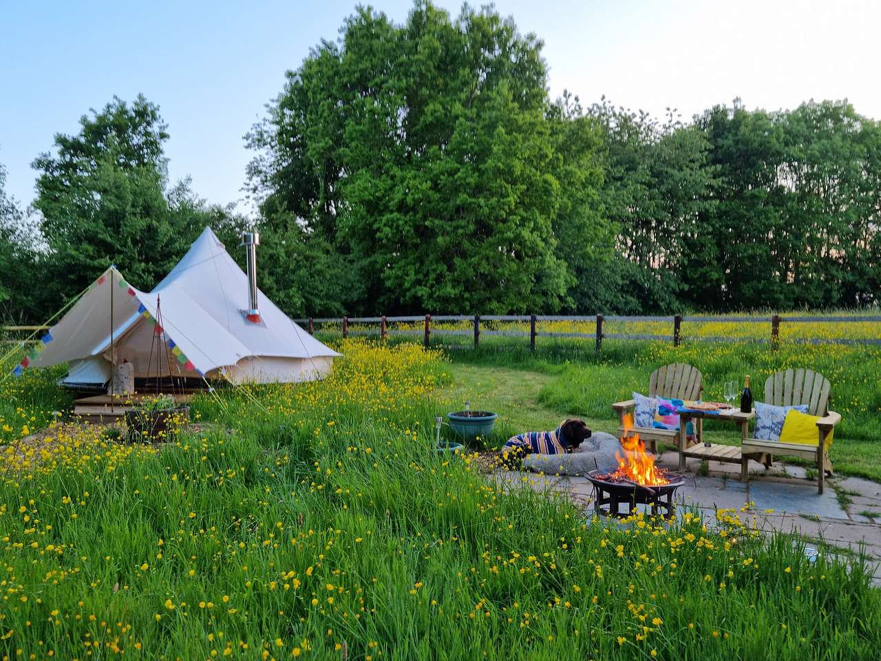 Dog Friendly Glamping in Rural Worcestershire