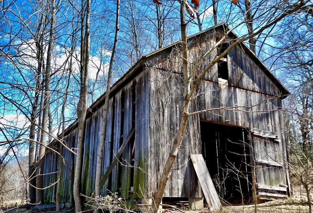 Chapman State Park