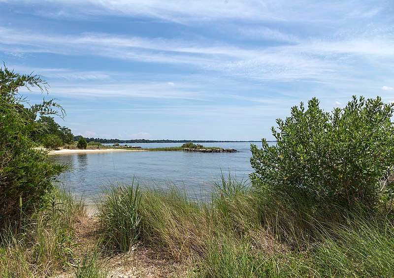 Hallowing Point Waterfront Park​