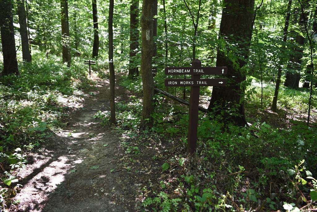 Palmer State Park