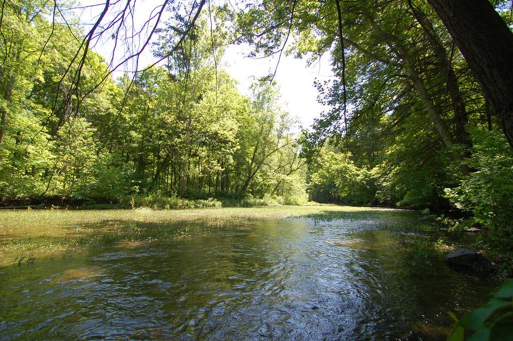 Sideling Hill Creek State Park