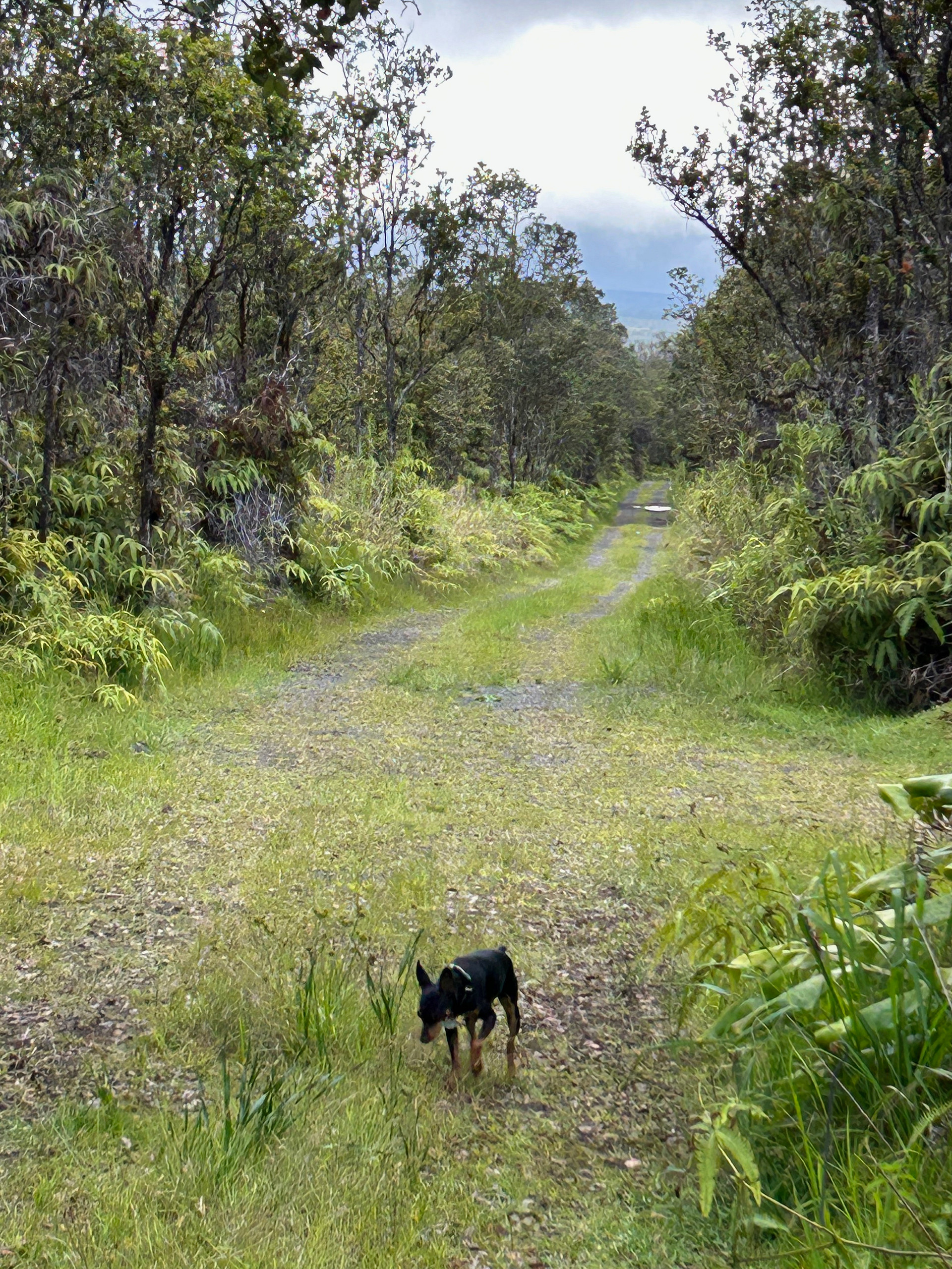 Yip Camp and Eco-Retreat Center