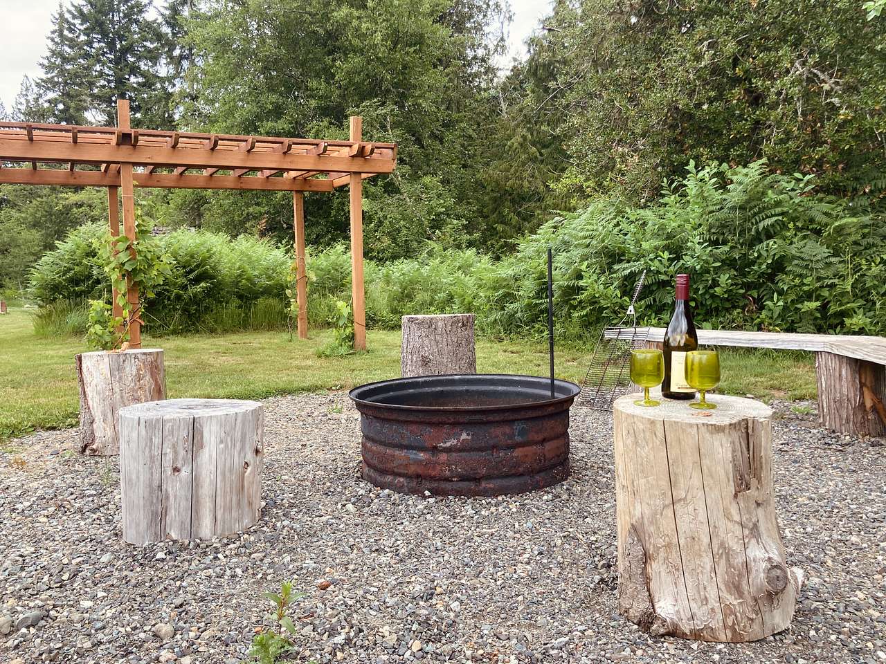 Fire pit and grape arbor