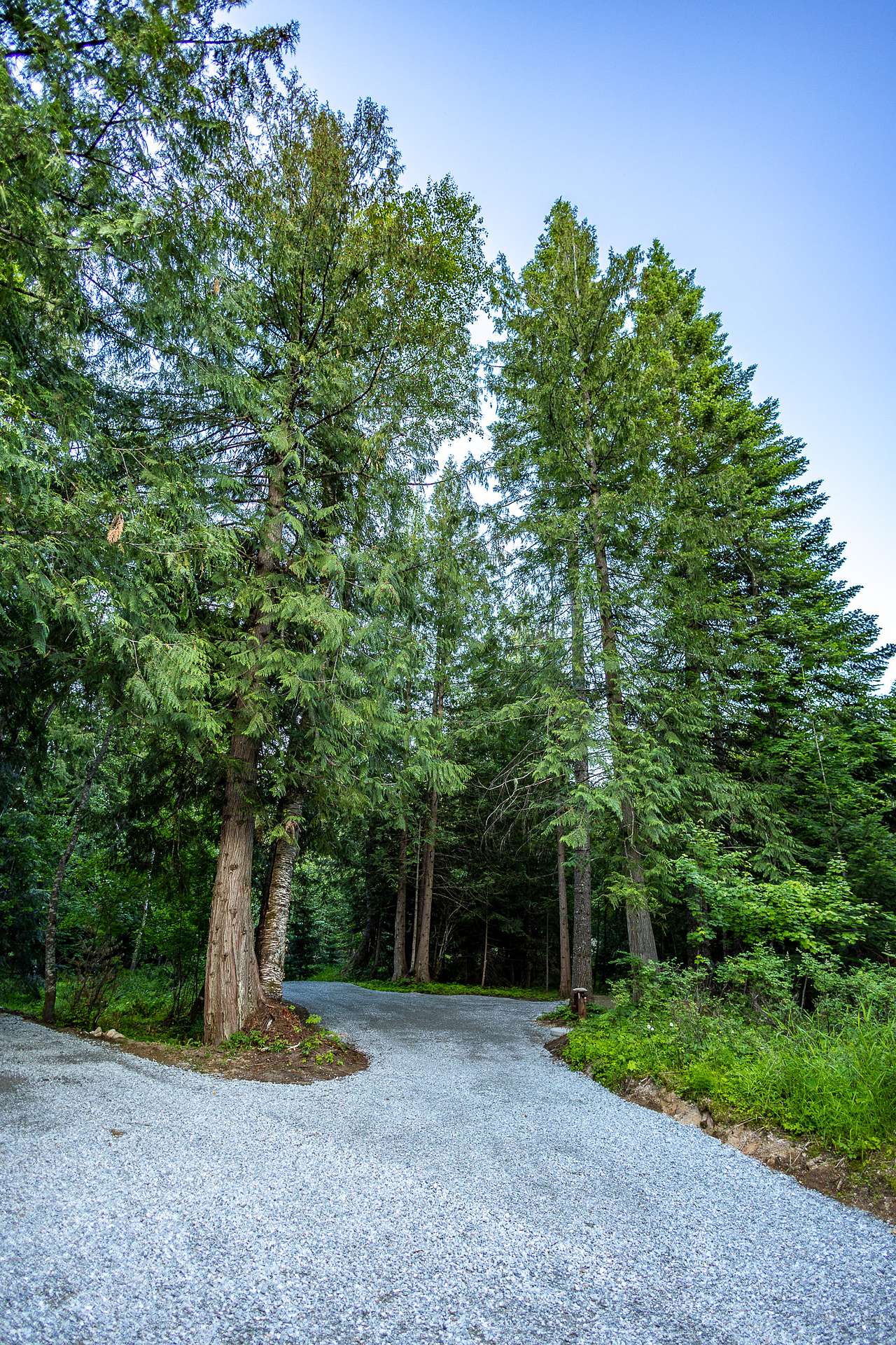 Turnipseed Creek Campsites