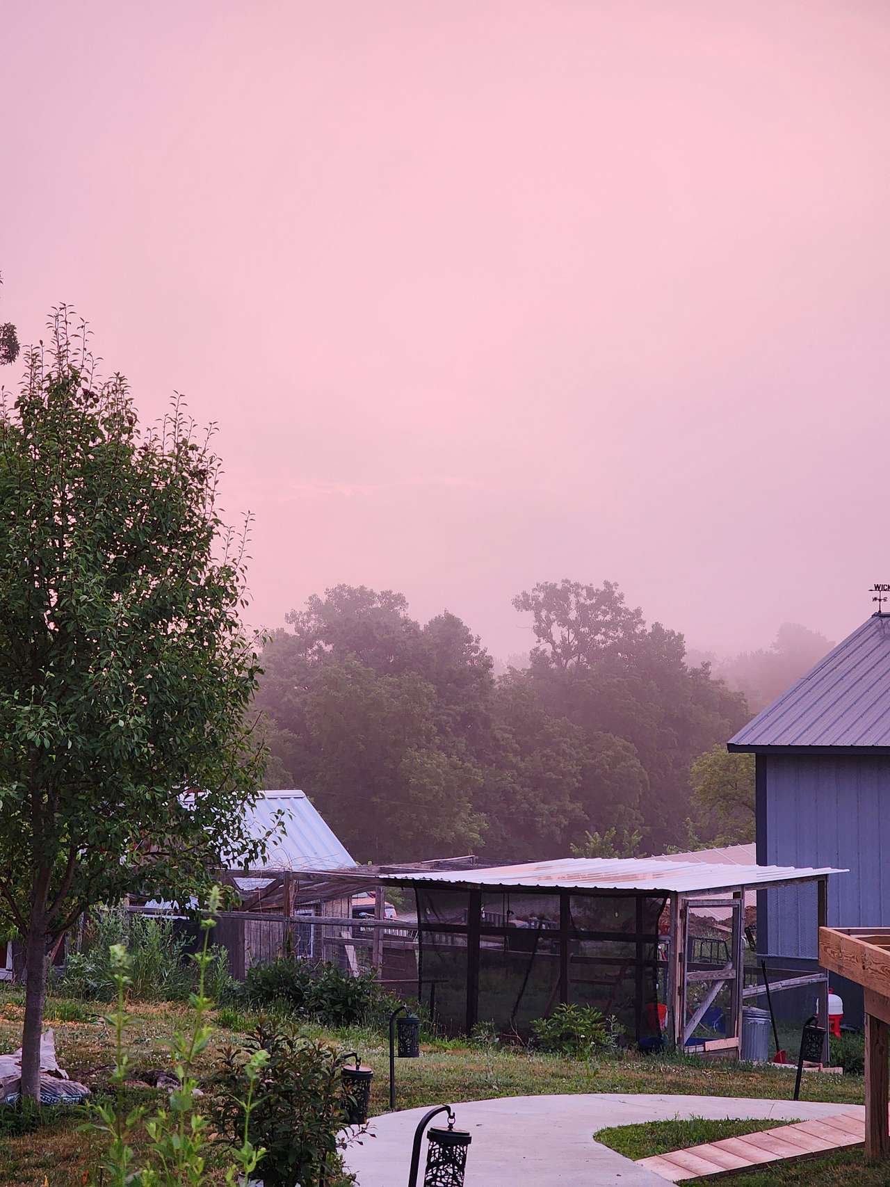 Chicken coop sunrise 