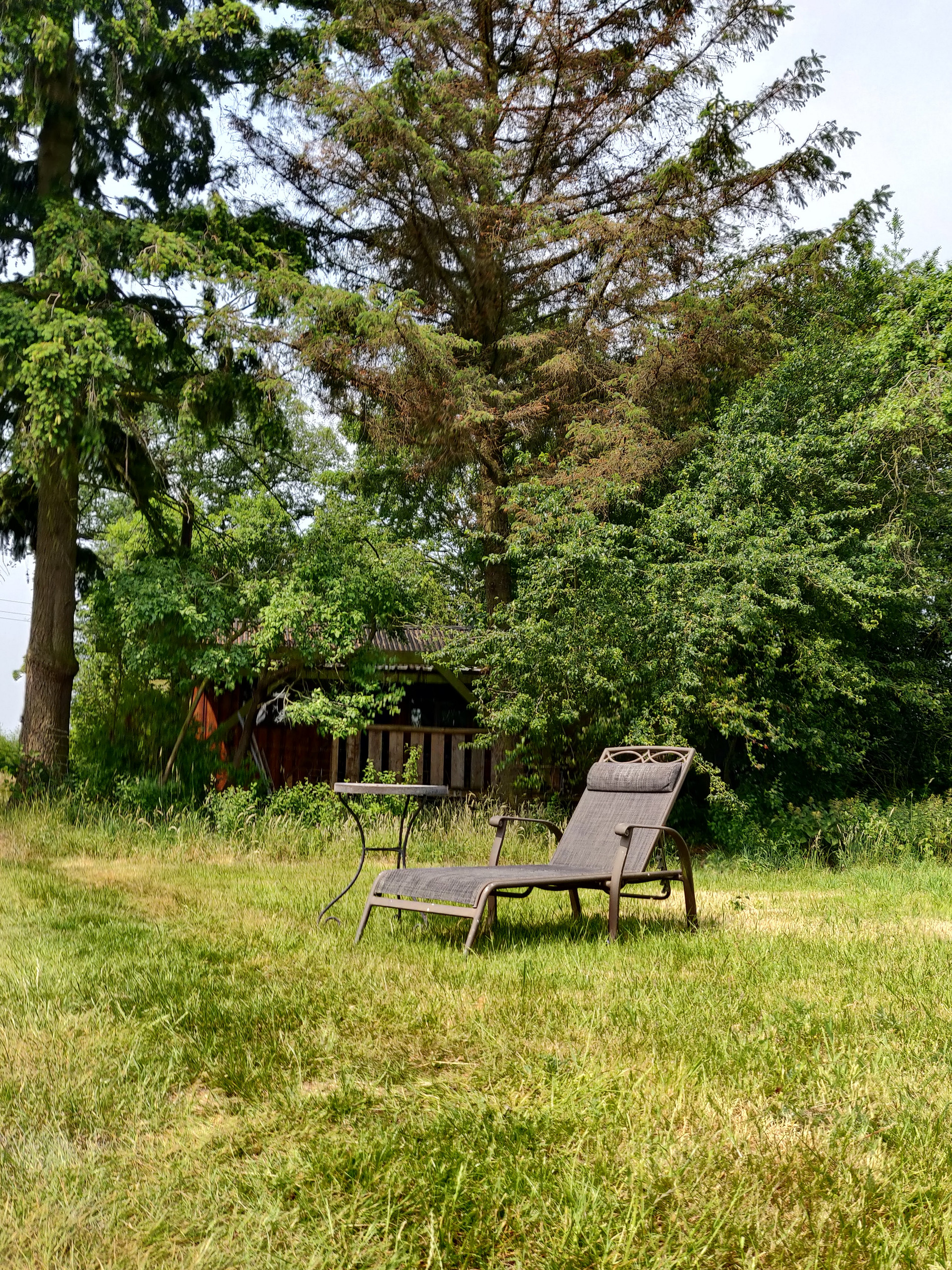 field
