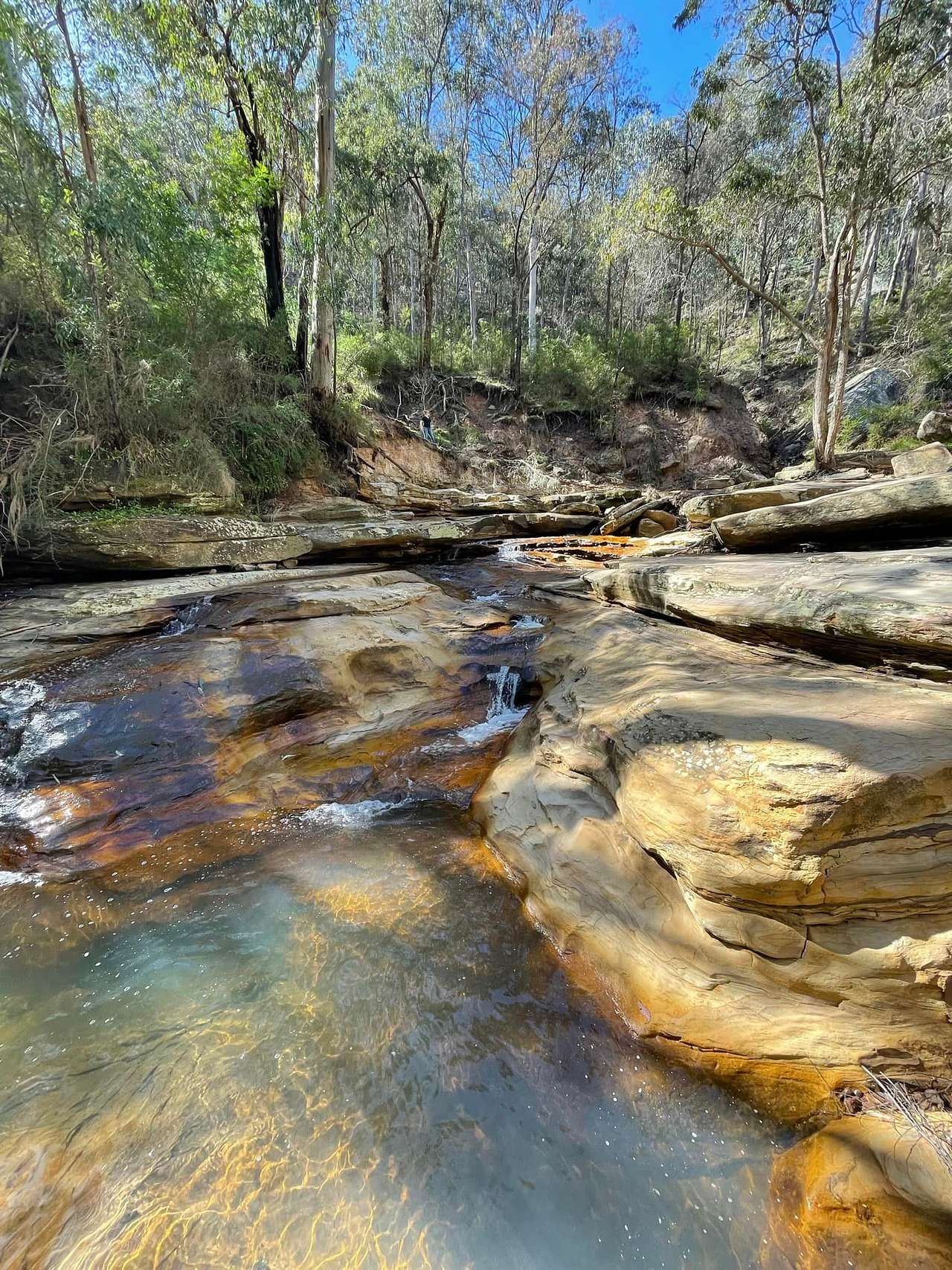 TJ’s 4B Park & Camping + Hiking