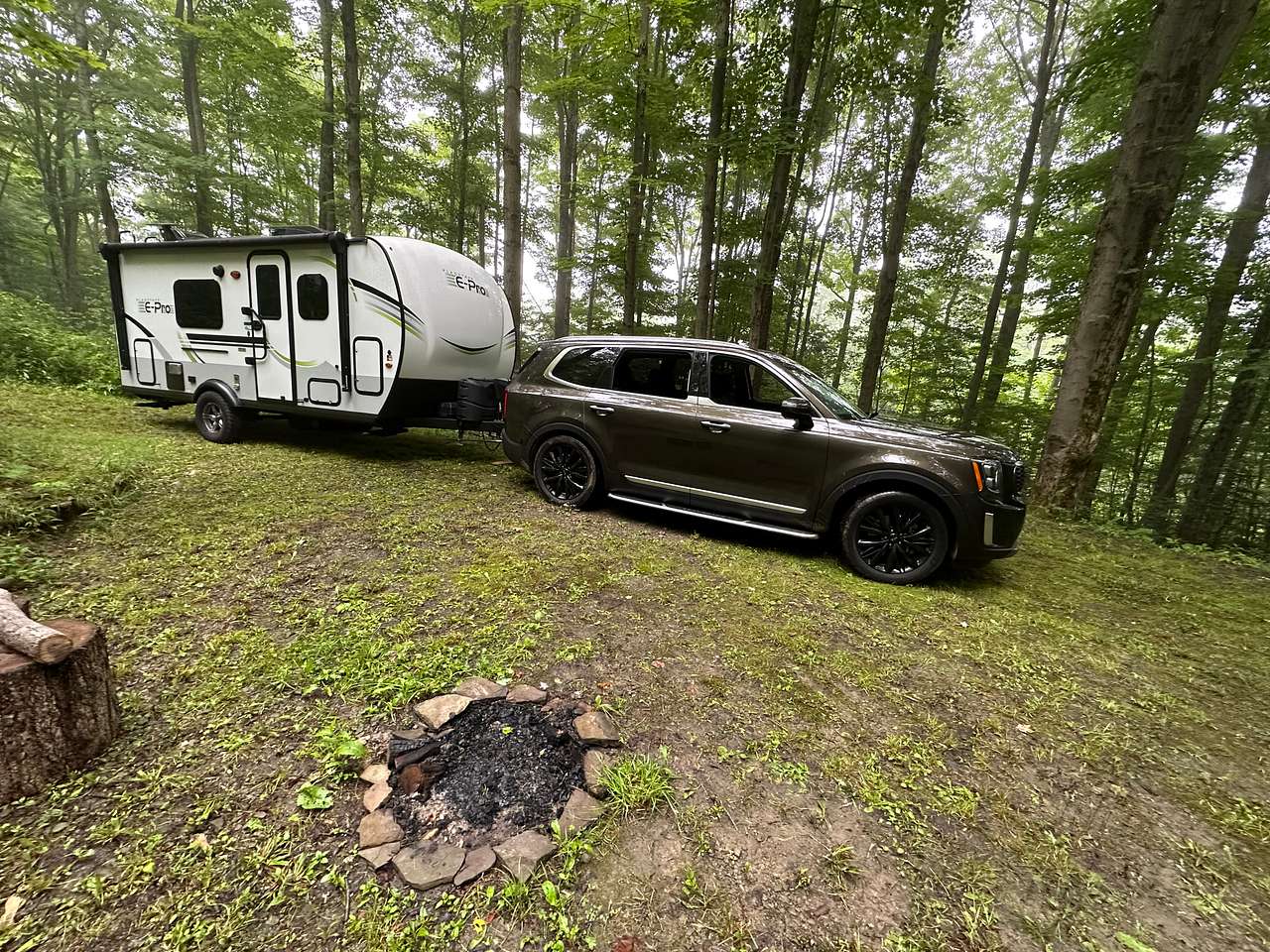 Ellicottville Woods