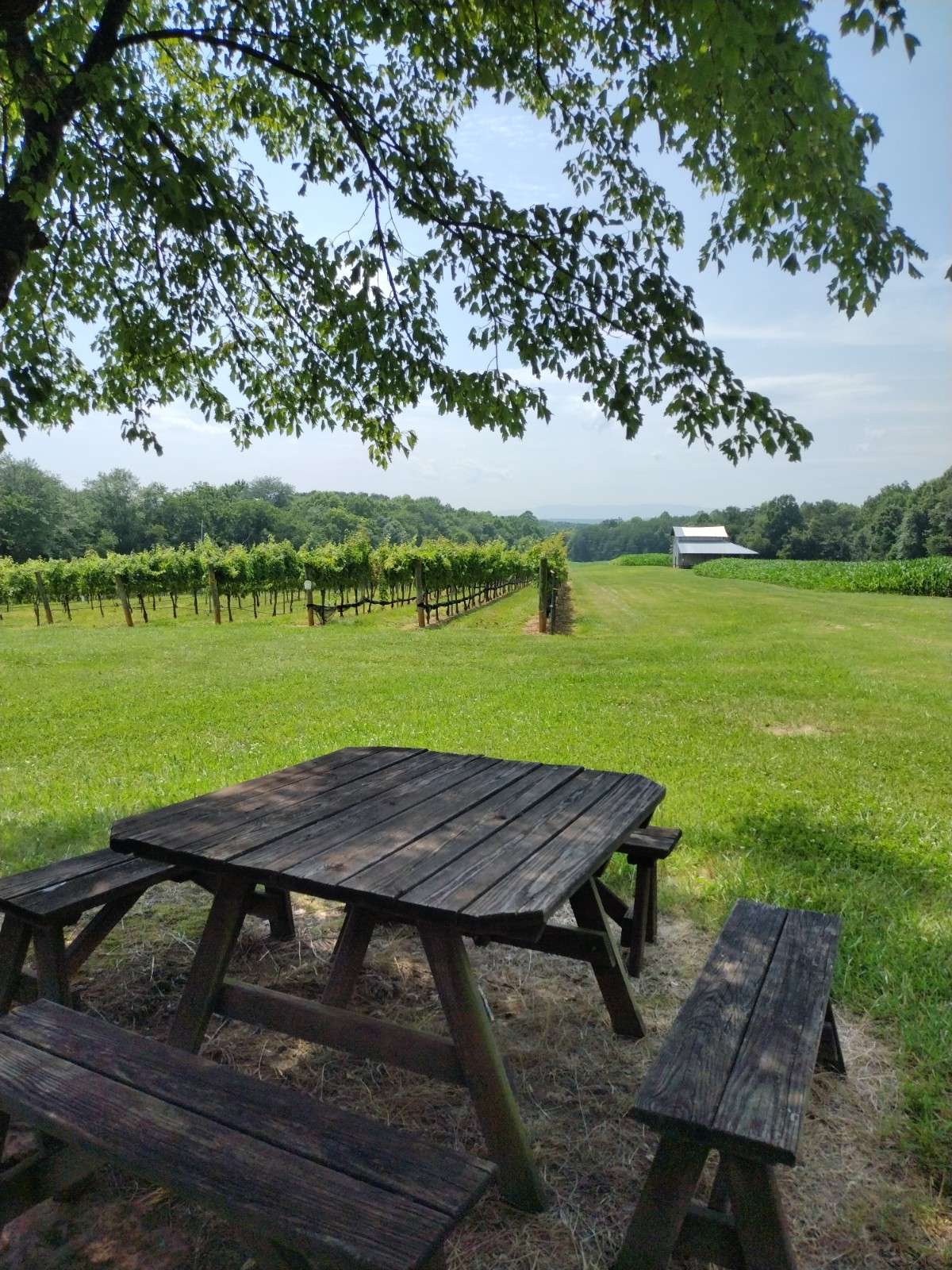 William Cornelius Vineyard
