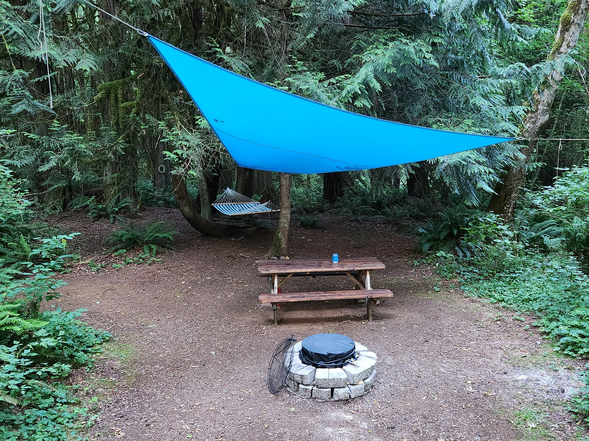 Site #1