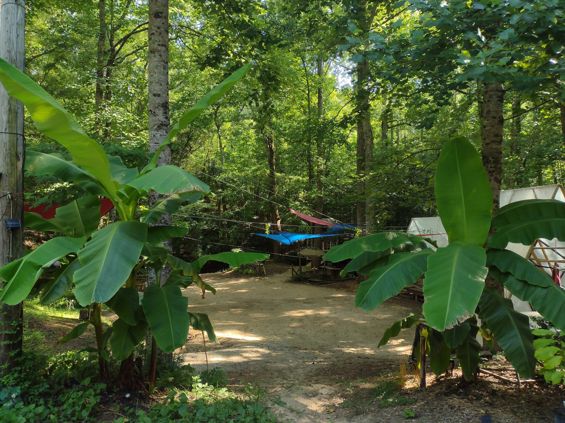 3 Creeks Camp and Nature Preserve