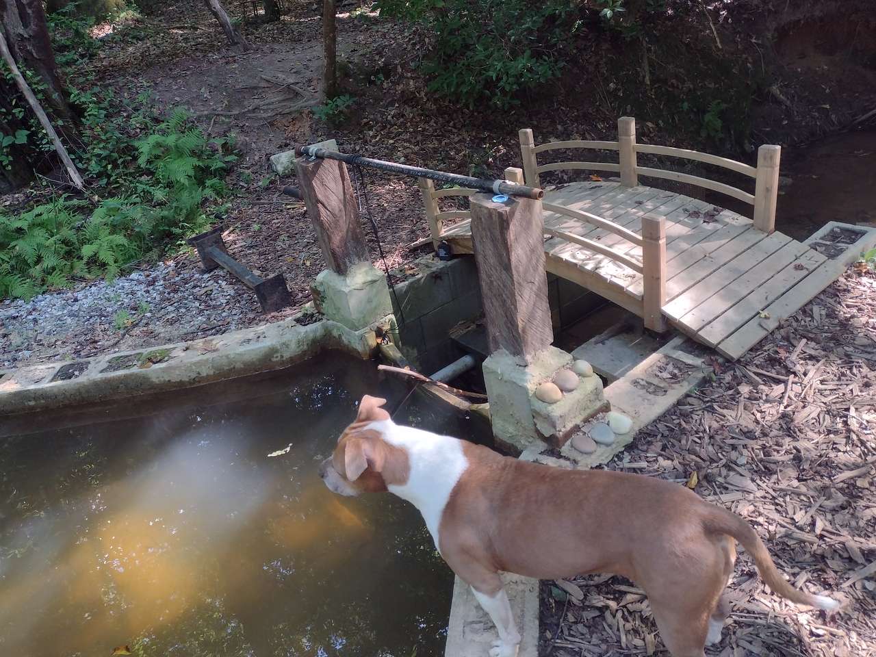 3 Creeks Camp and Nature Preserve