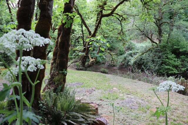 A beautiful campsite located just off of the water in an isolated location. Perfectly quiet with lots of nature's sounds!
