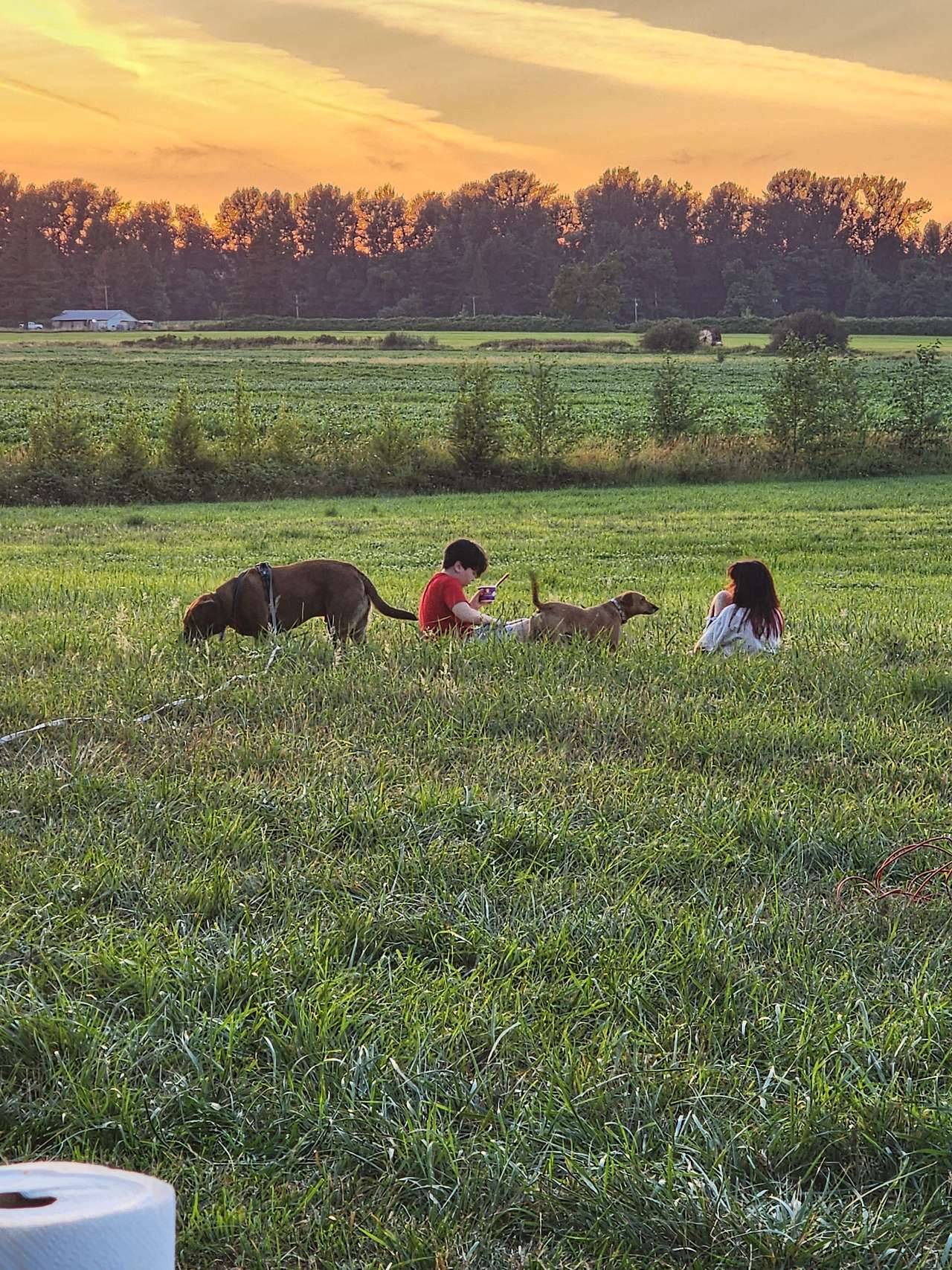June Bud Farms