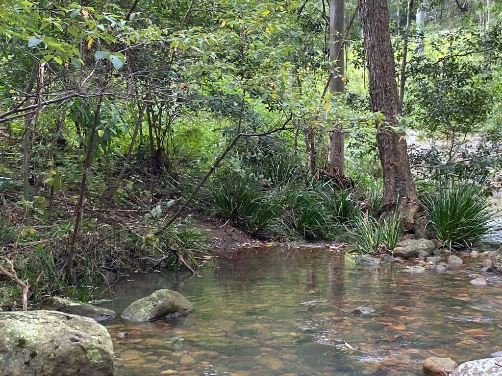 Congewai Valley Estate