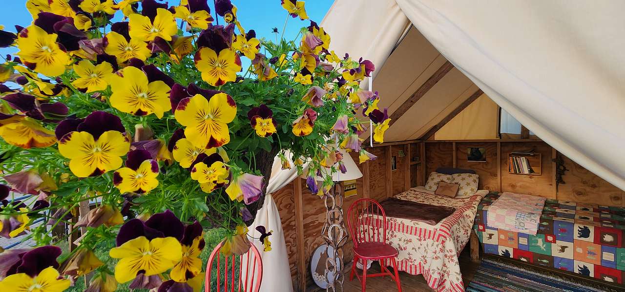 Sweet Pepper Ranch's Glamping Tent