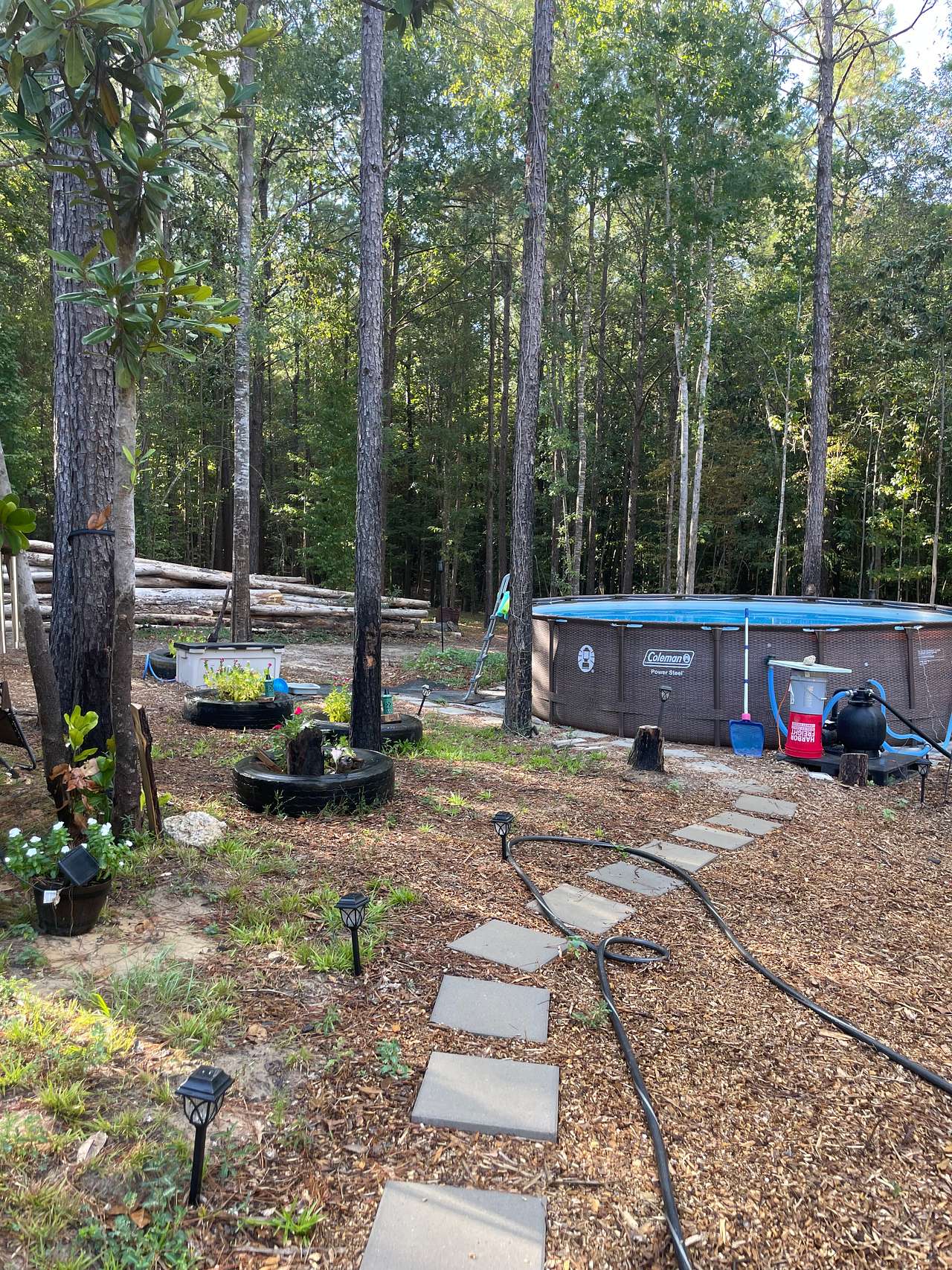 Hogs Hollow Homestead LLC