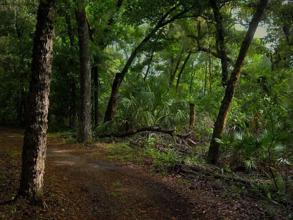 Fort Cooper State Park