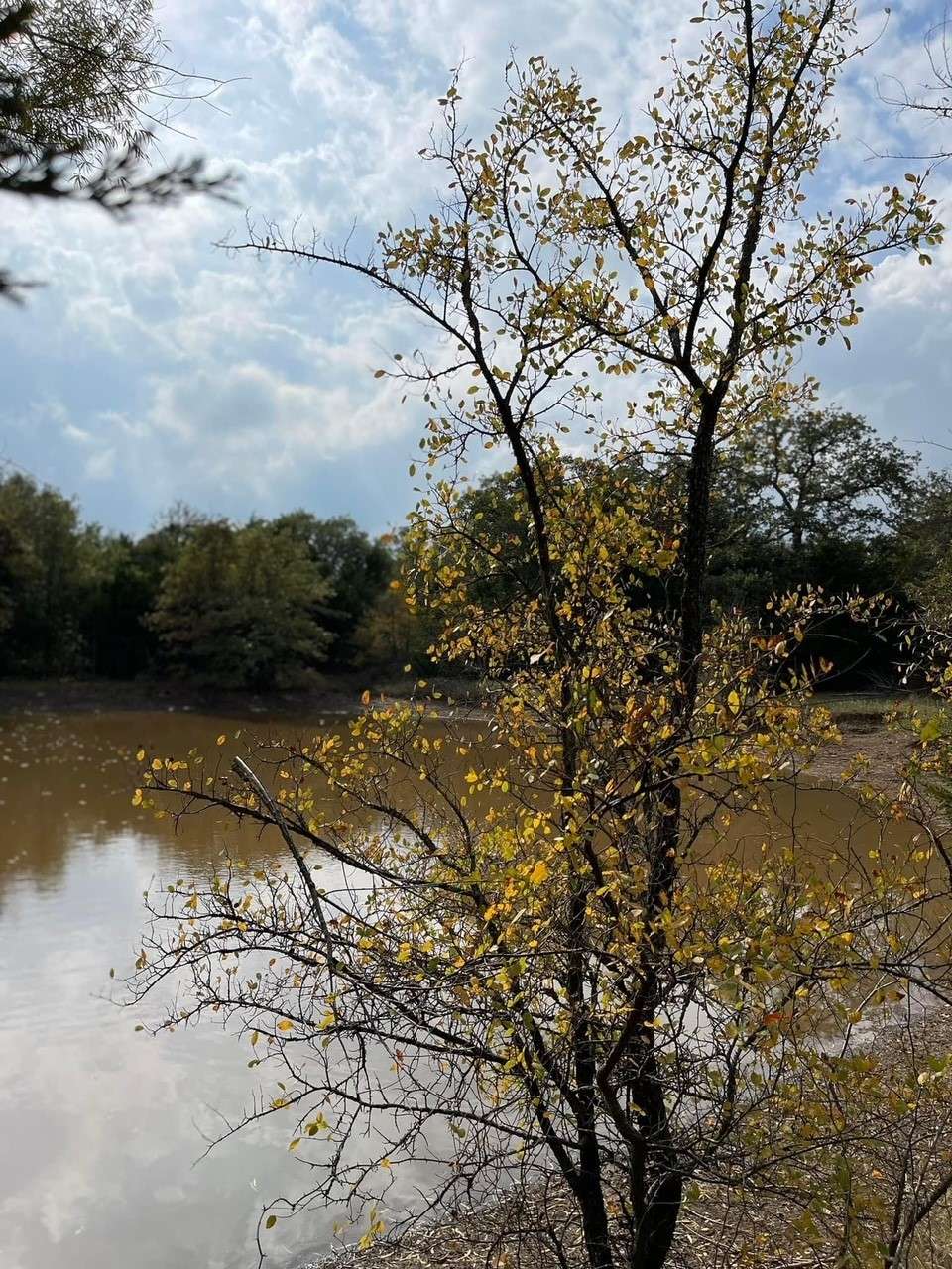 Camp Tonkawa Woods & Horse Camp