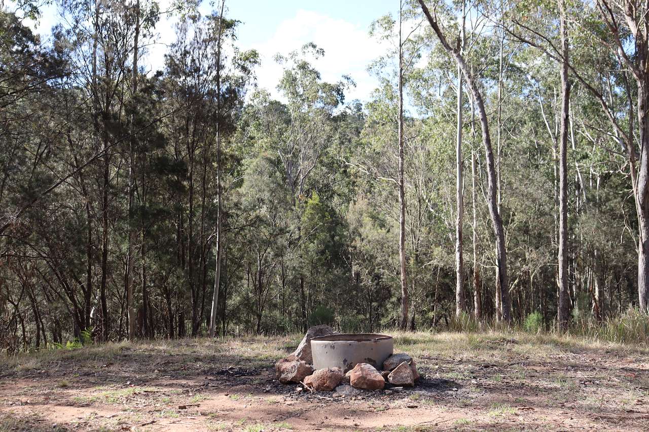 Blicks River Camping