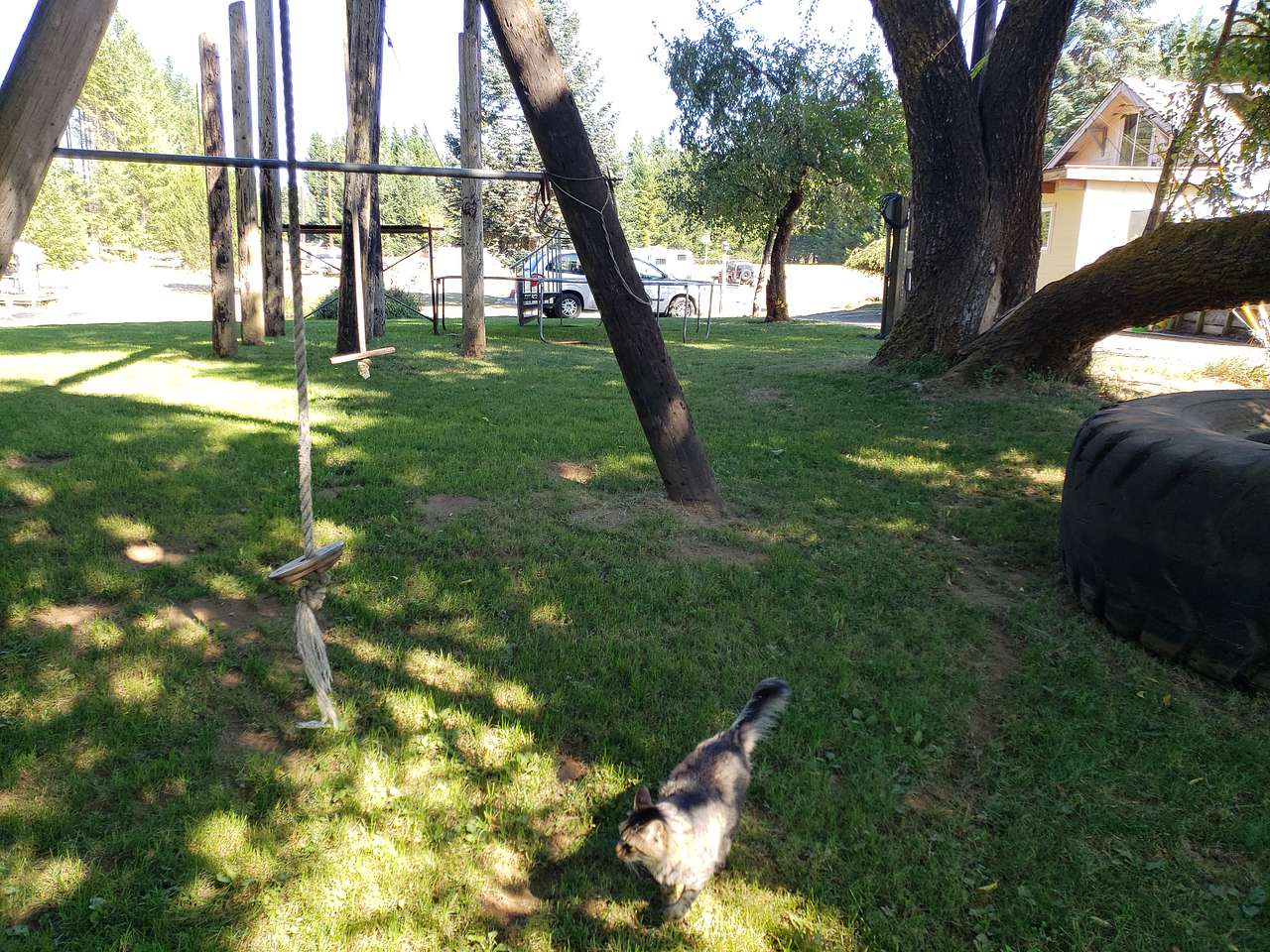 The Play Yard