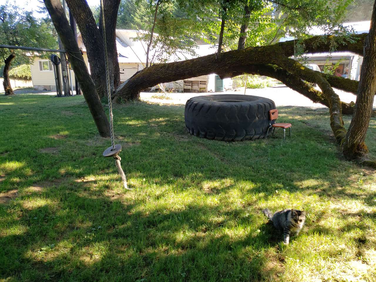 The Play Yard.