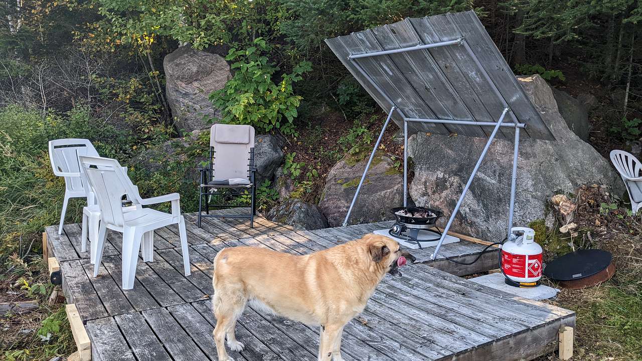 deck at kayak launch
