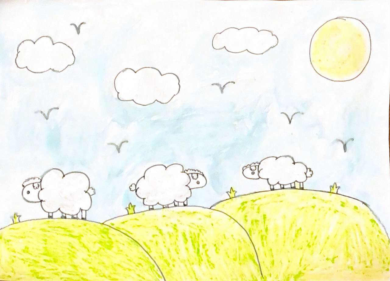 Bona Vista