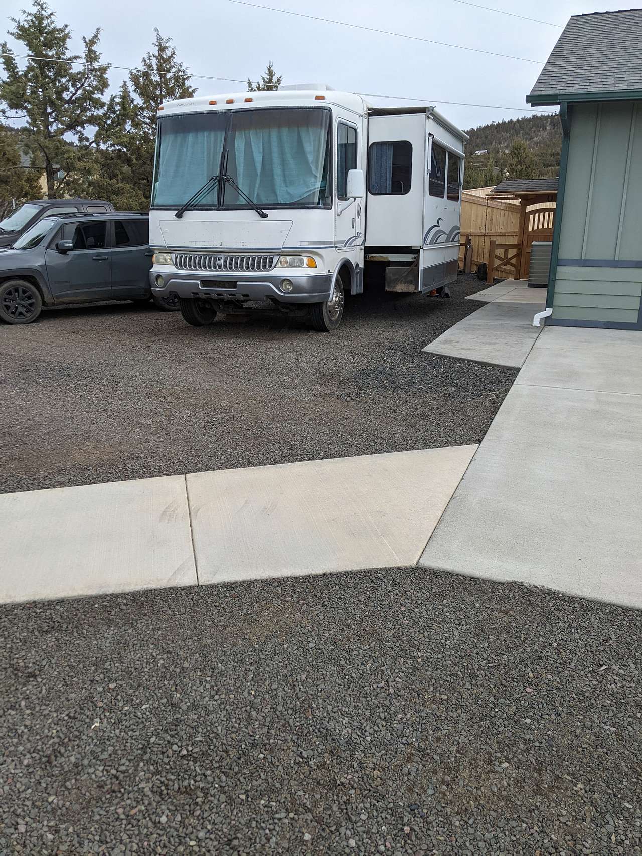 High Desert Juniper