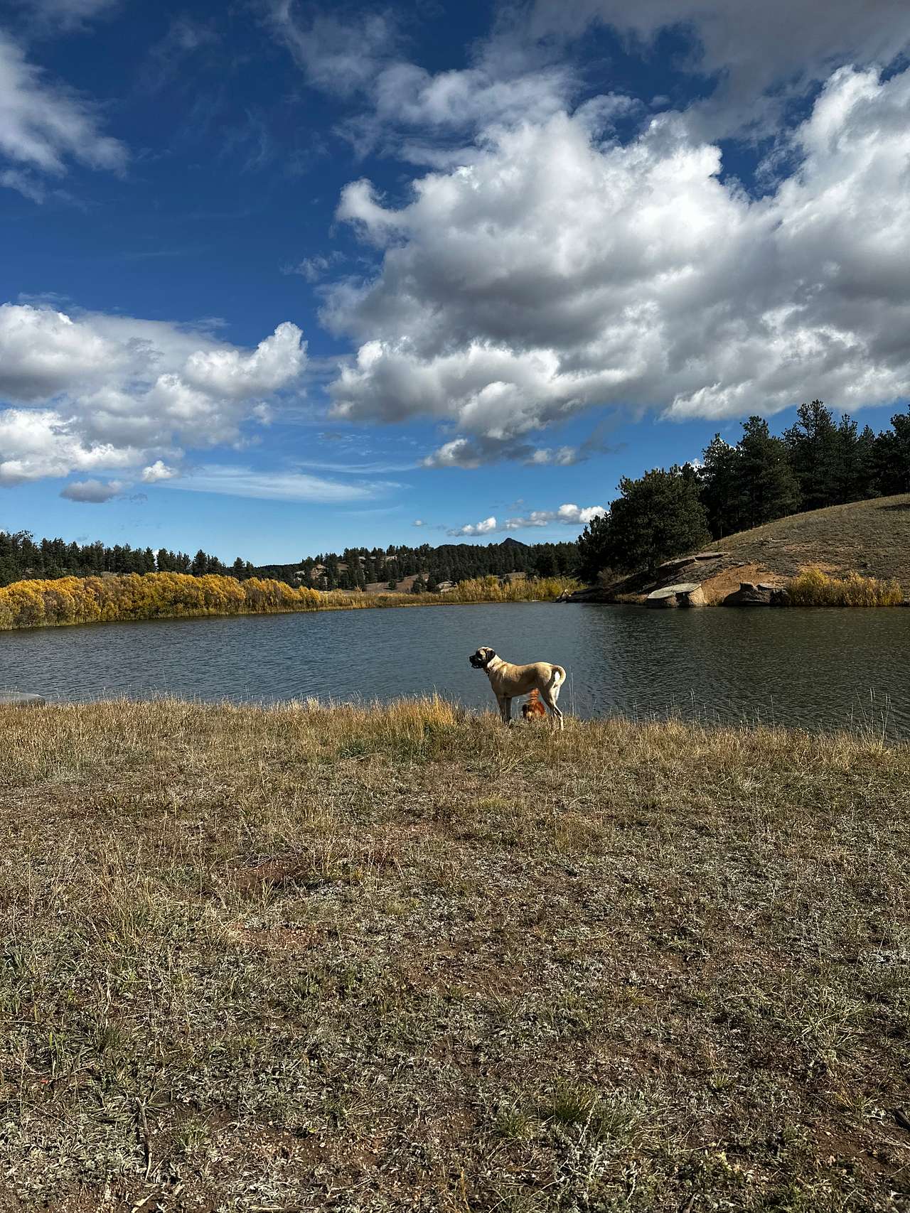 Blue Mountain Ranch