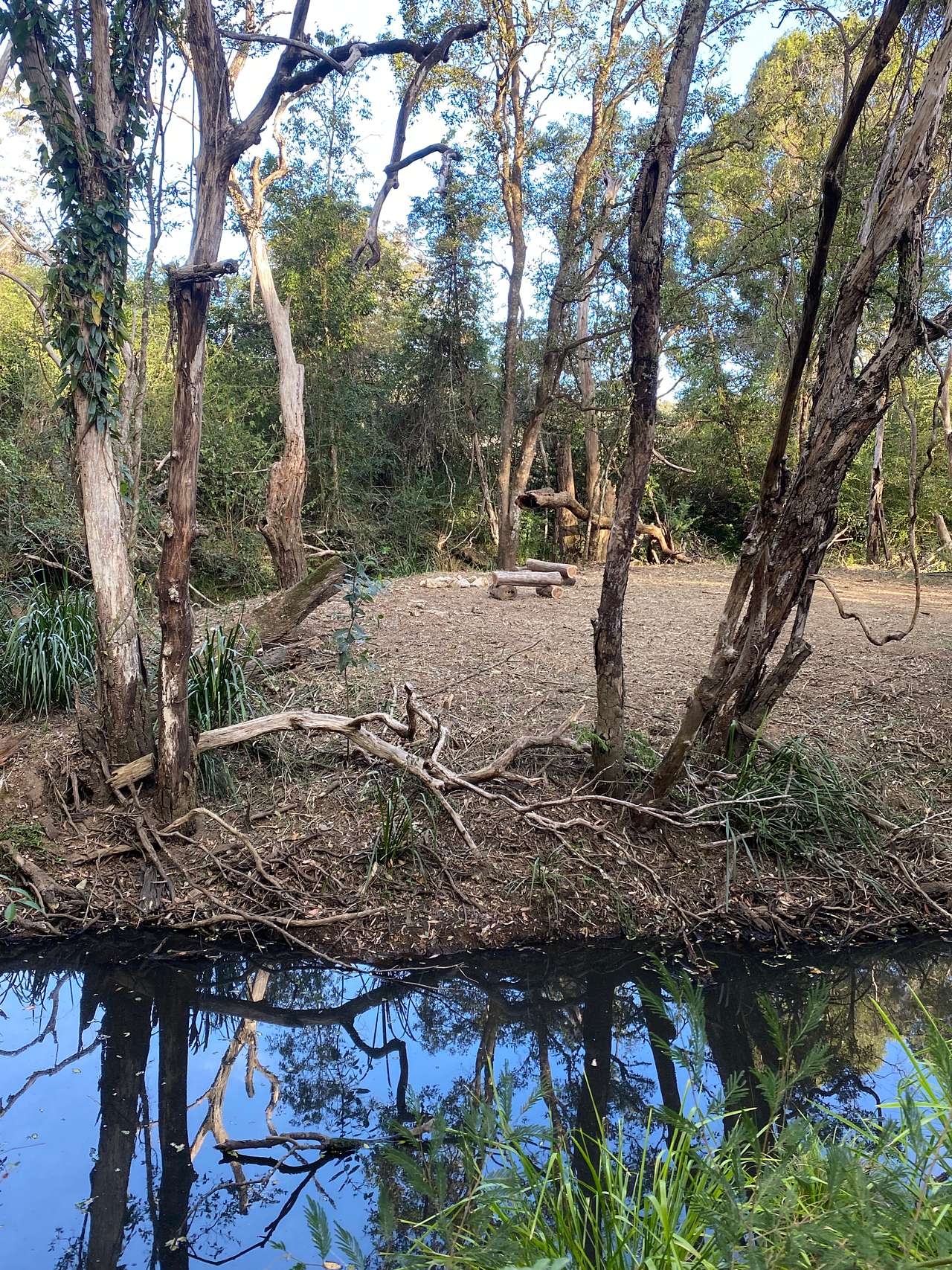 Tyalla Grounds