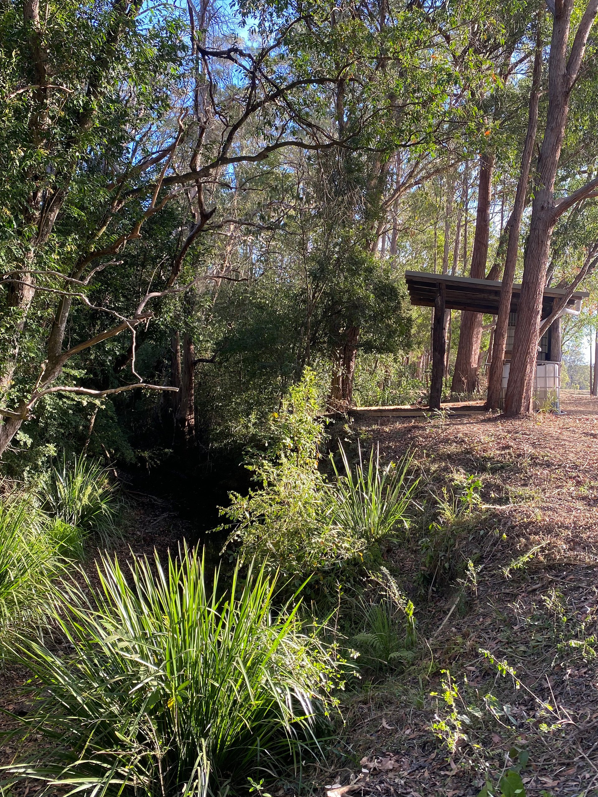 Tyalla Grounds