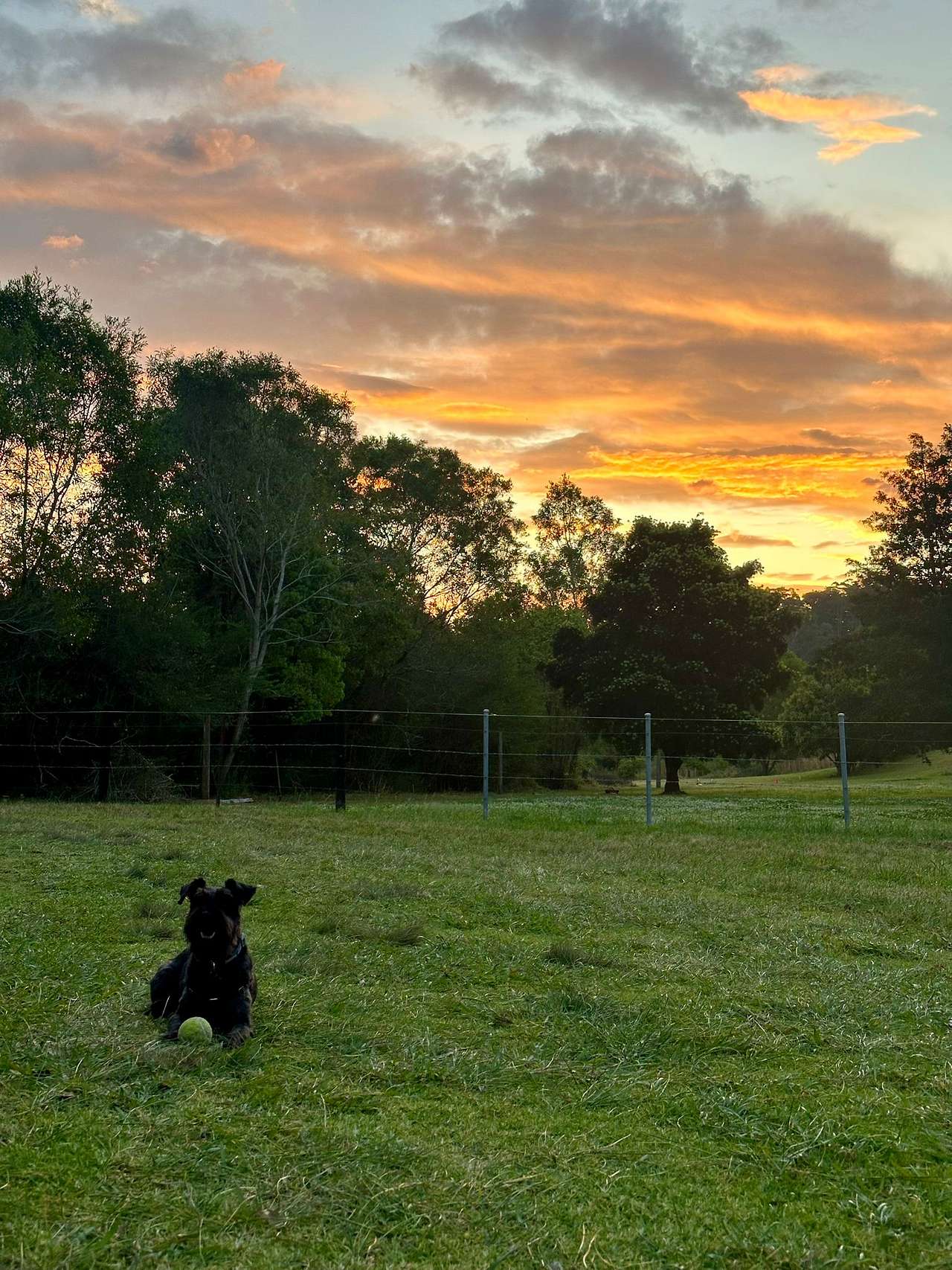 Myrtle Ridge Farm