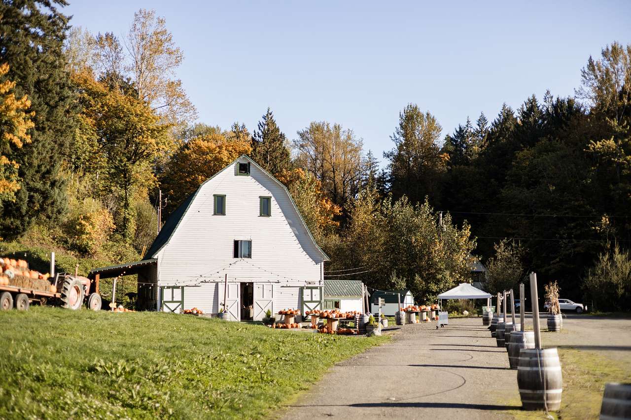 Novelty Hill Farm