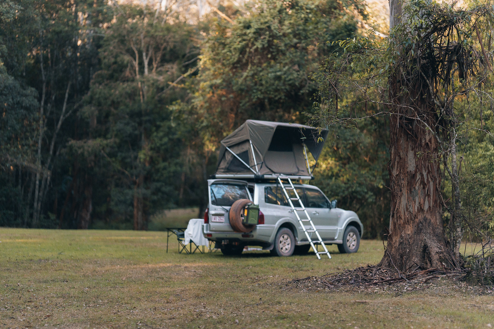 The Grove campsite