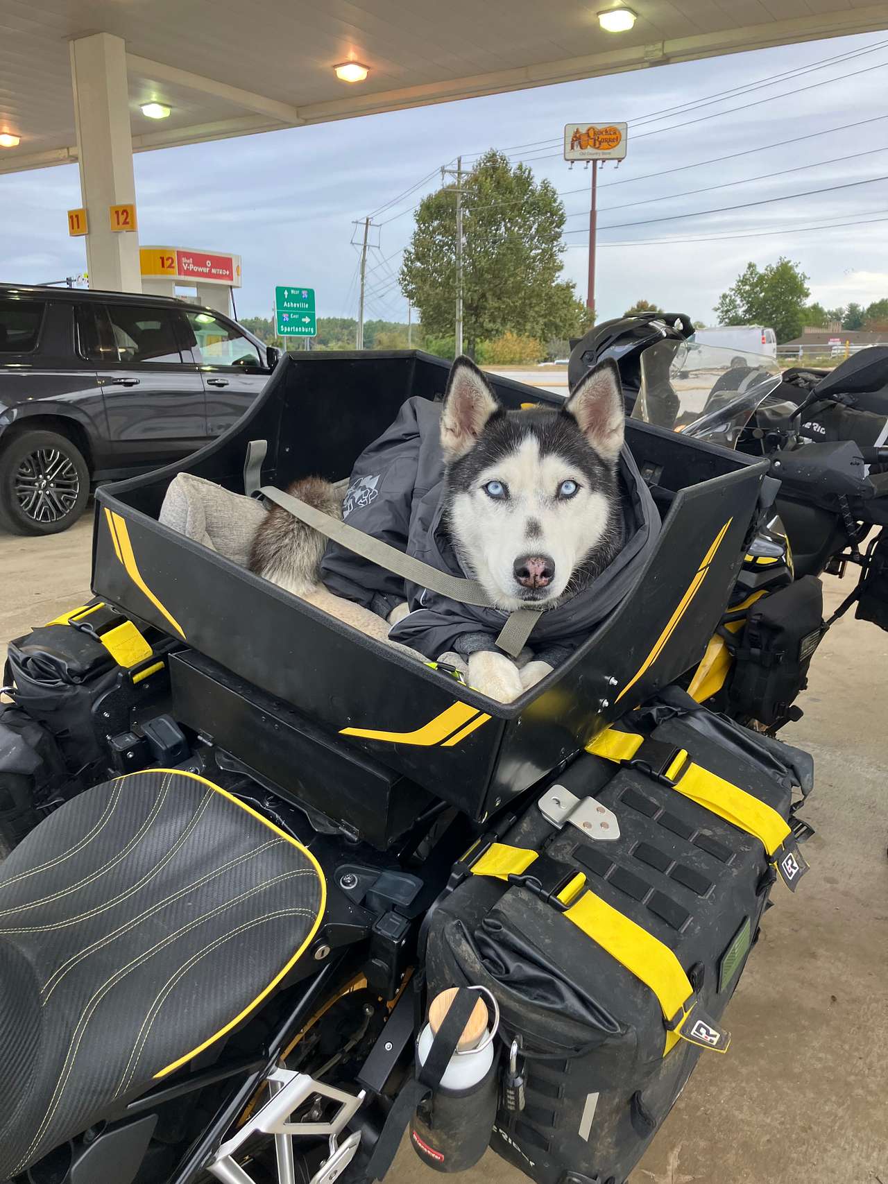 Copilot