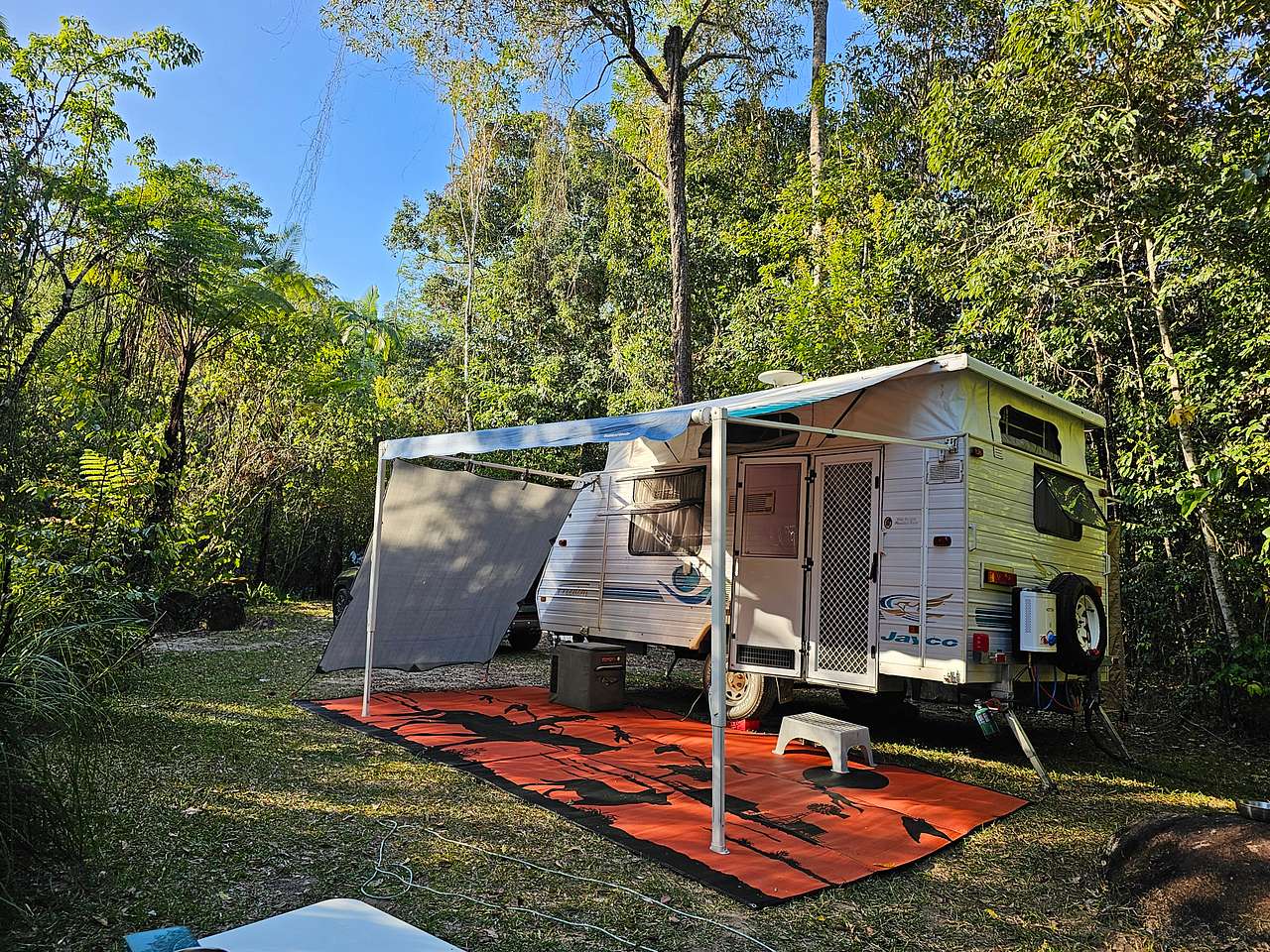 Forest Flying Camping