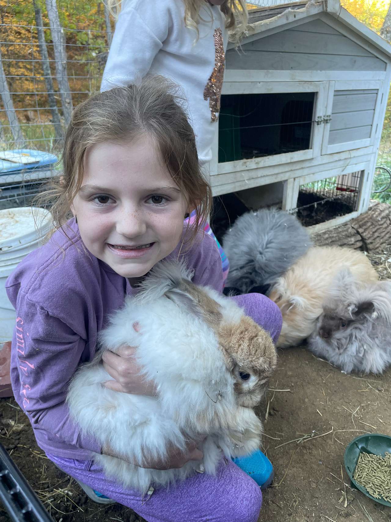 Mila’s Bunny Farm