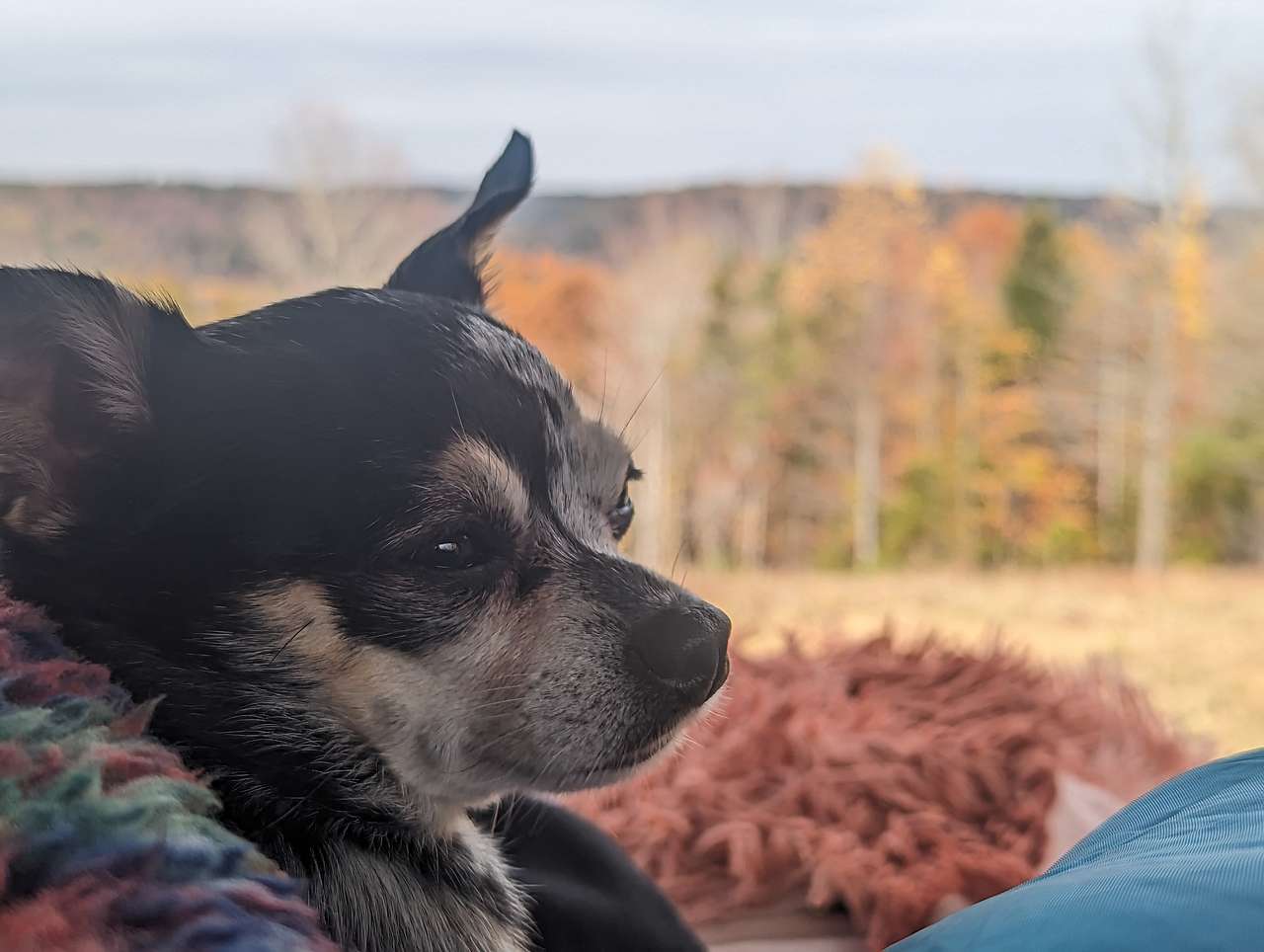 Possum Ridge Ranch