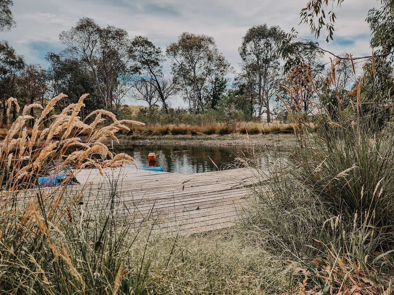 Wattle Run