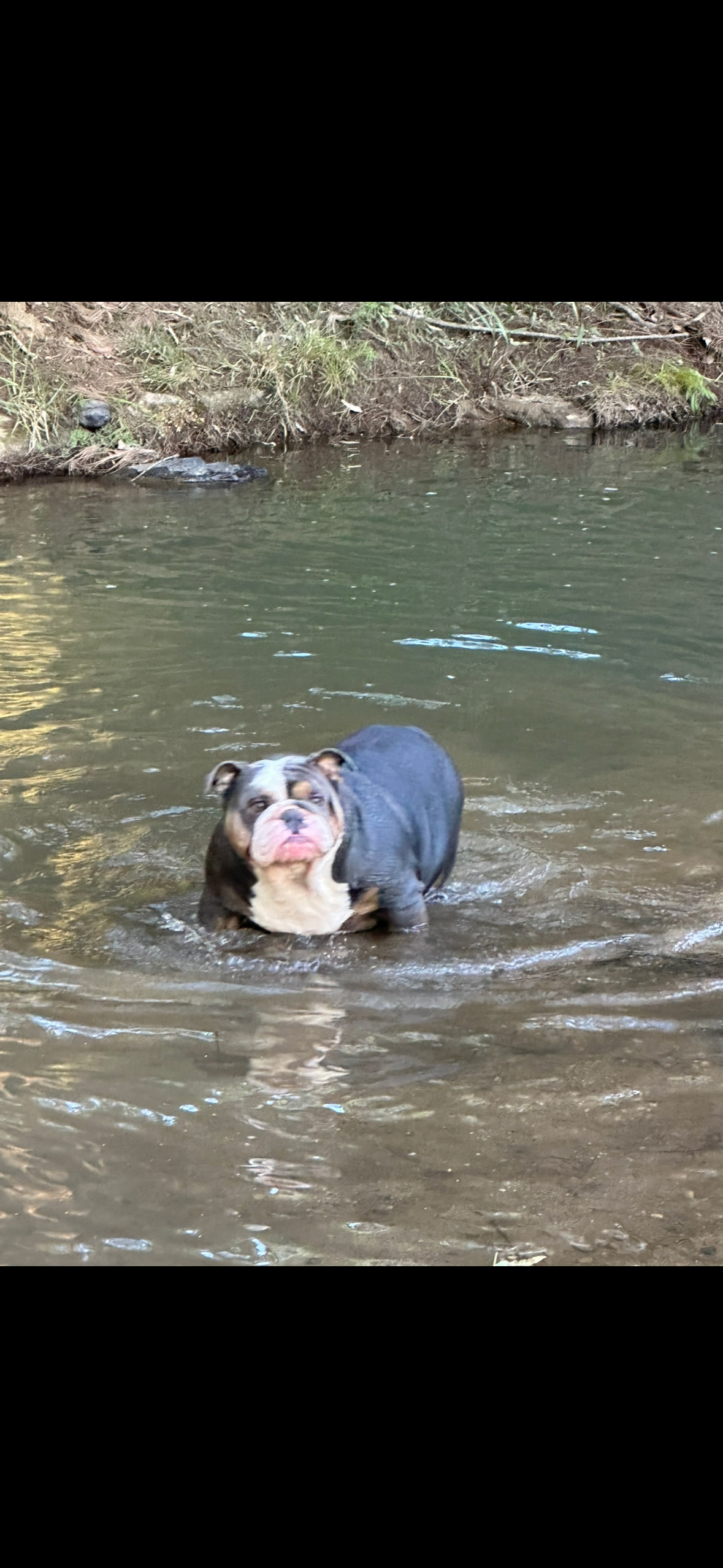 Water is great temp. 