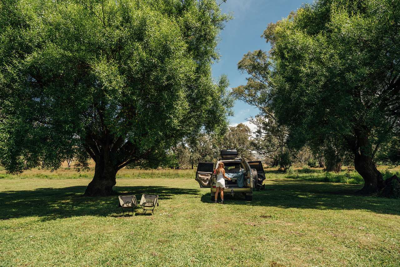 The Willows site